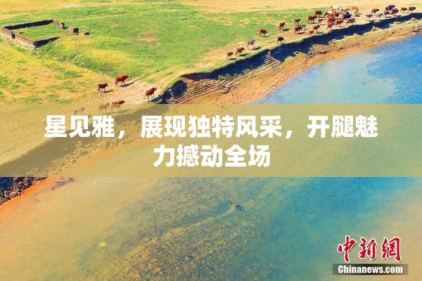 星见雅，展现独特风采，开腿魅力撼动全场