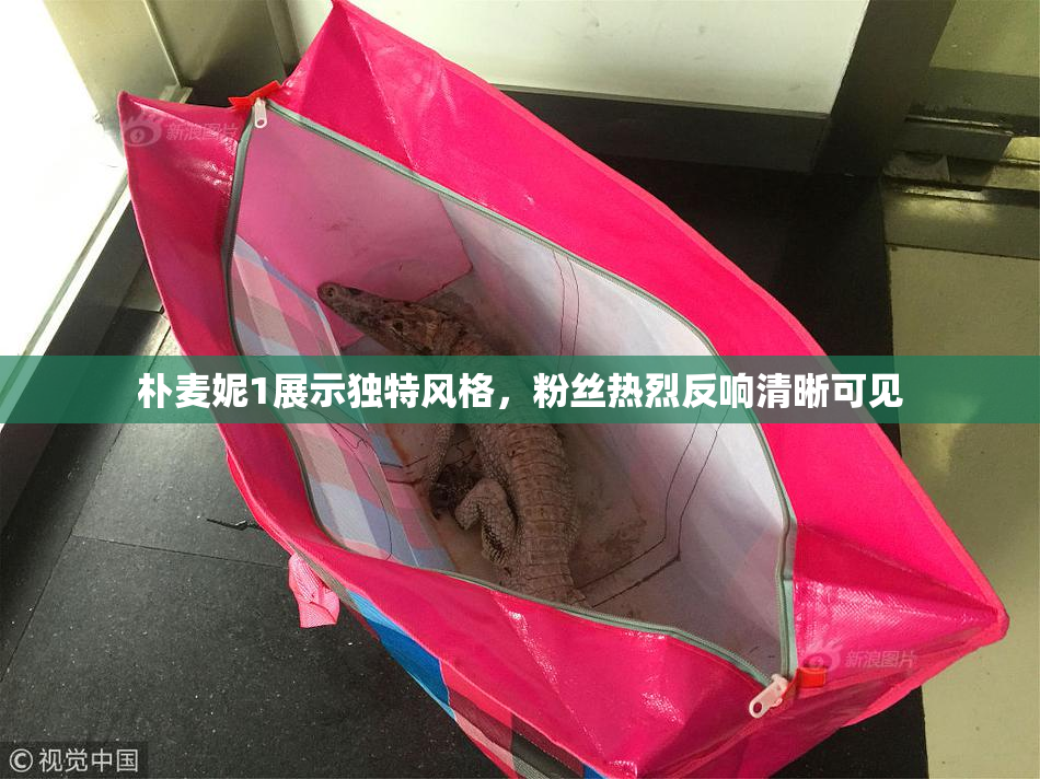 朴麦妮1展示独特风格，粉丝热烈反响清晰可见