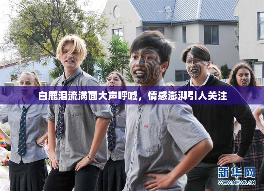 白鹿泪流满面大声呼喊，情感澎湃引人关注