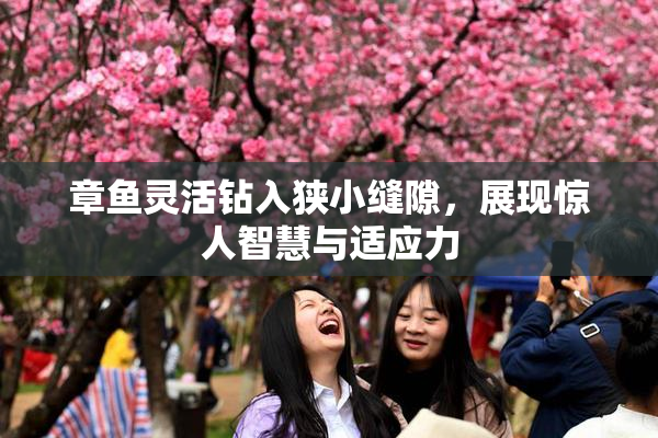 章鱼灵活钻入狭小缝隙，展现惊人智慧与适应力