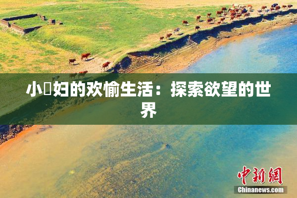 小婬妇的欢愉生活：探索欲望的世界
