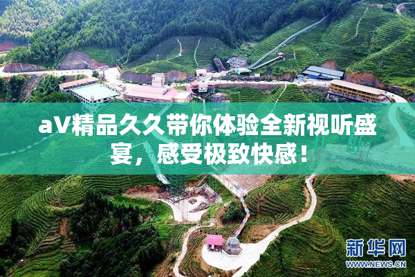 aV精品久久带你体验全新视听盛宴，感受极致快感！