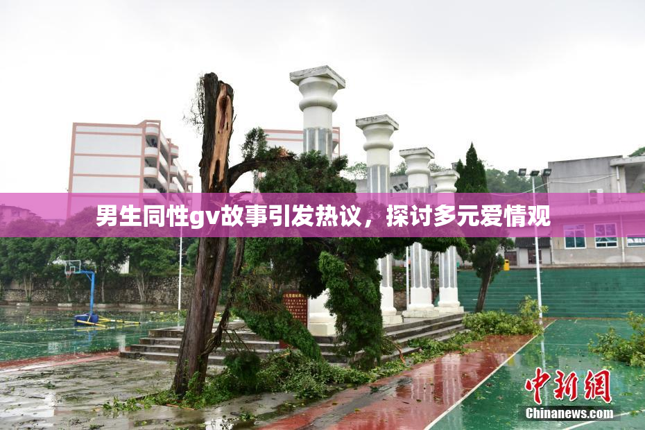 男生同性gv故事引发热议，探讨多元爱情观