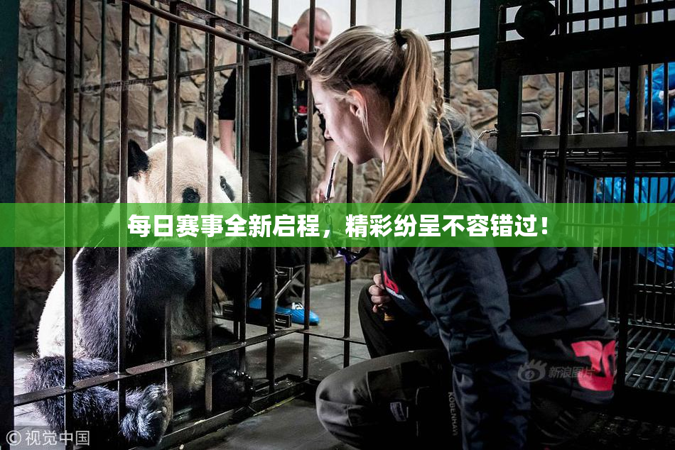 每日赛事全新启程，精彩纷呈不容错过！