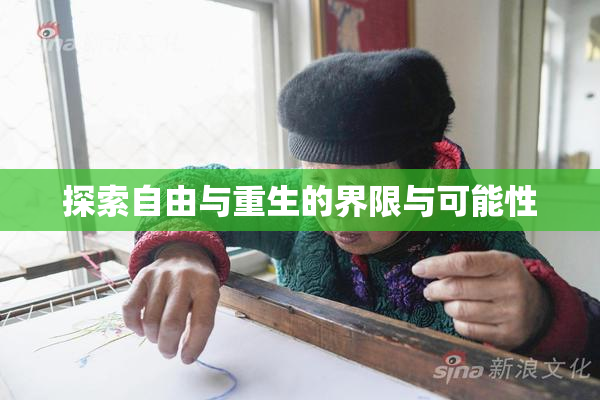 探索自由与重生的界限与可能性