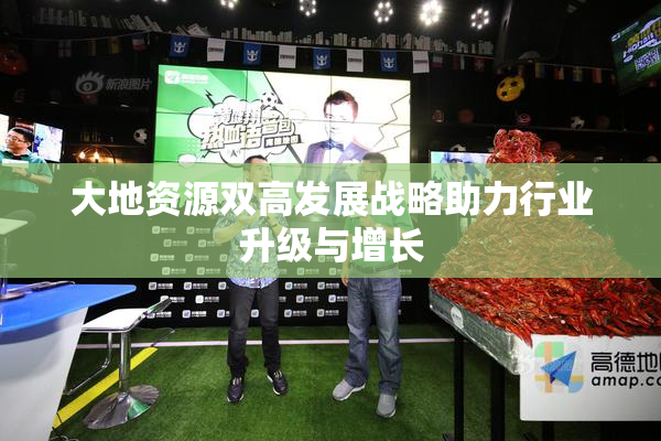 大地资源双高发展战略助力行业升级与增长