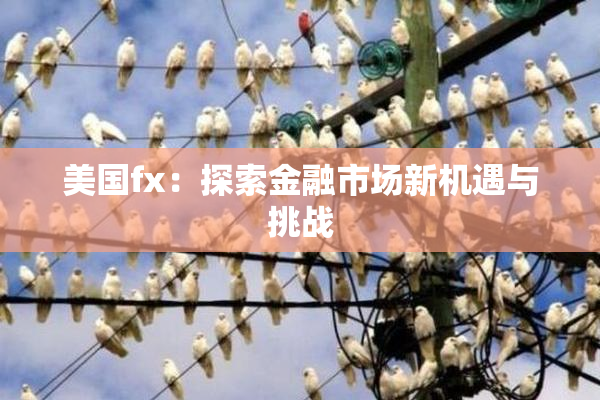 美国fx：探索金融市场新机遇与挑战