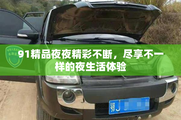 91精品夜夜精彩不断，尽享不一样的夜生活体验