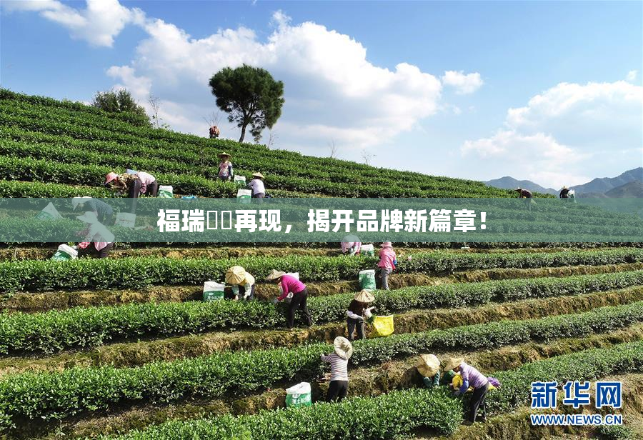 福瑞涊涊再现，揭开品牌新篇章！