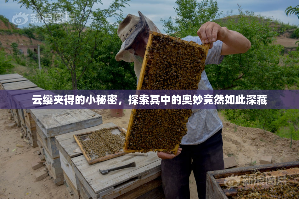 云缨夹得的小秘密，探索其中的奥妙竟然如此深藏
