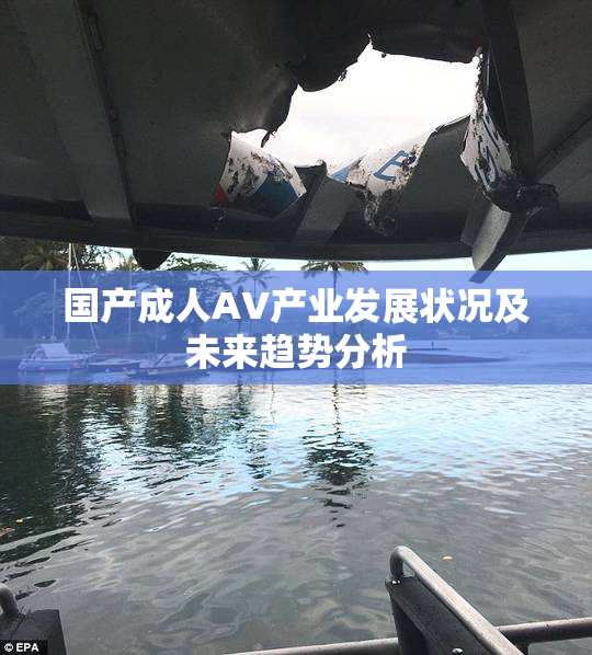 国产成人AV产业发展状况及未来趋势分析