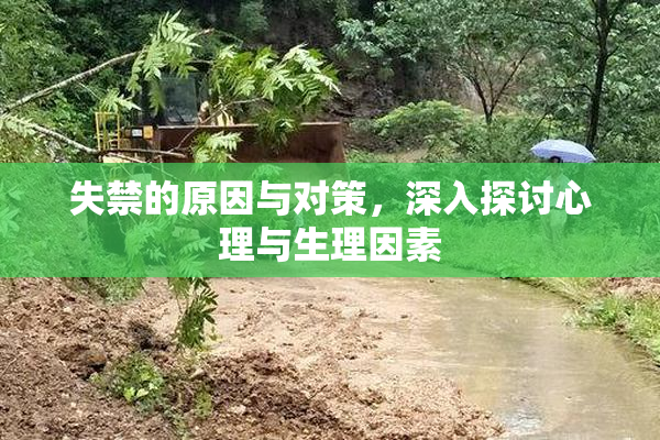 失禁的原因与对策，深入探讨心理与生理因素
