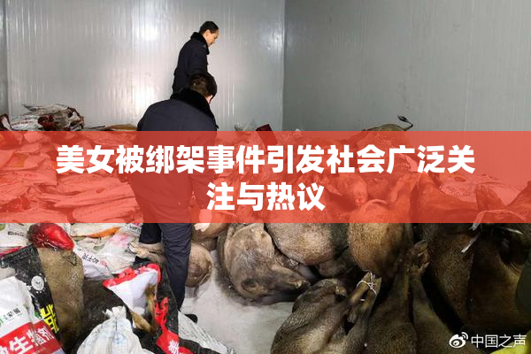 美女被绑架事件引发社会广泛关注与热议
