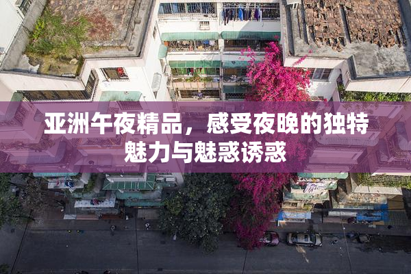 亚洲午夜精品，感受夜晚的独特魅力与魅惑诱惑