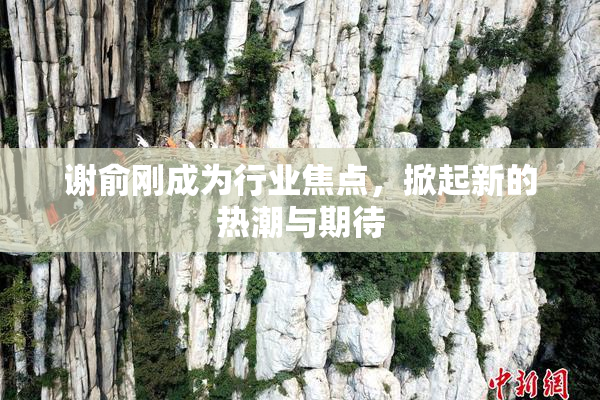 谢俞刚成为行业焦点，掀起新的热潮与期待
