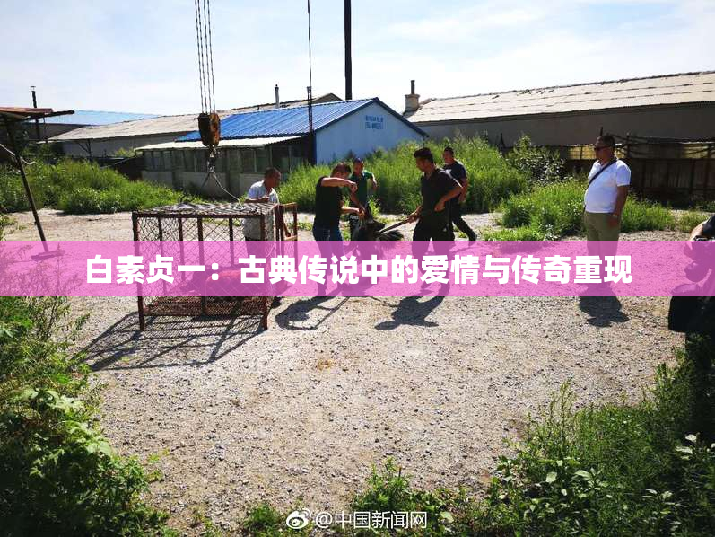 白素贞一：古典传说中的爱情与传奇重现