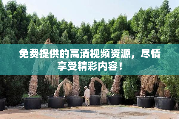 免费提供的高清视频资源，尽情享受精彩内容！