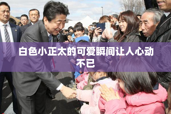白色小正太的可爱瞬间让人心动不已