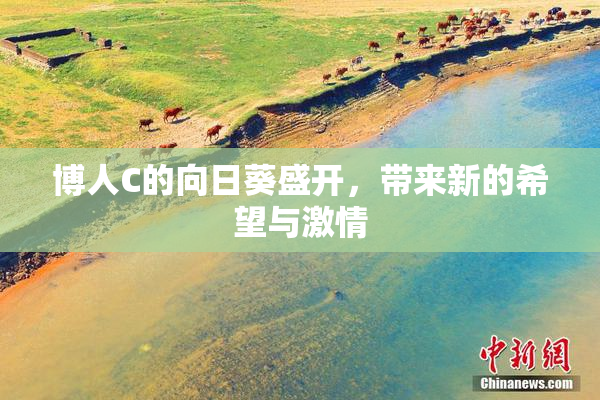 博人C的向日葵盛开，带来新的希望与激情