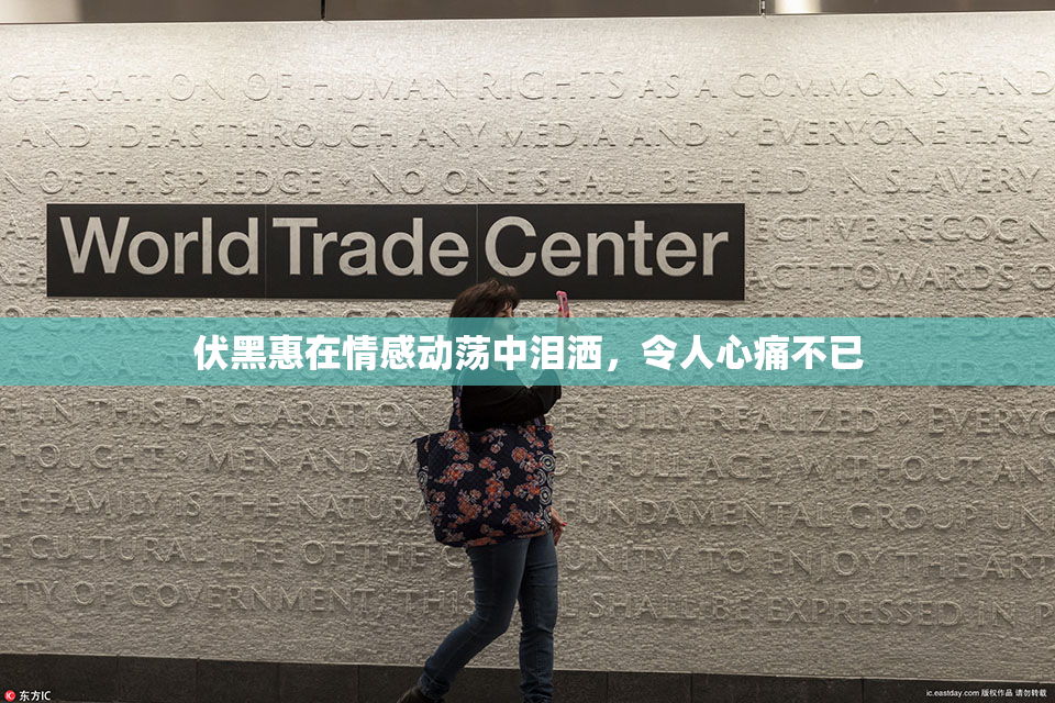 伏黑惠在情感动荡中泪洒，令人心痛不已