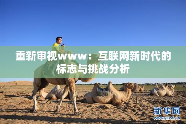 重新审视www：互联网新时代的标志与挑战分析