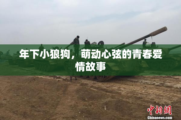 年下小狼狗，萌动心弦的青春爱情故事