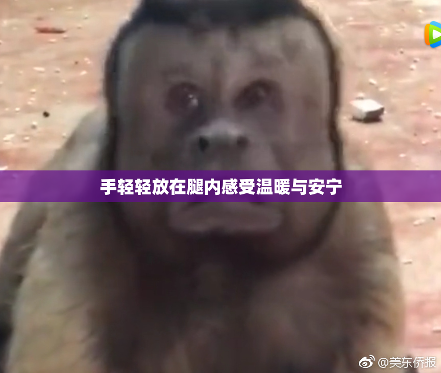 手轻轻放在腿内感受温暖与安宁