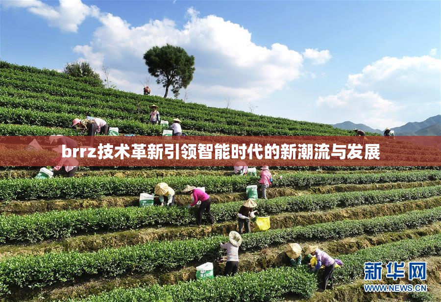 brrz技术革新引领智能时代的新潮流与发展