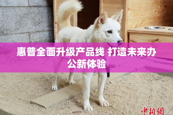 惠普全面升级产品线 打造未来办公新体验