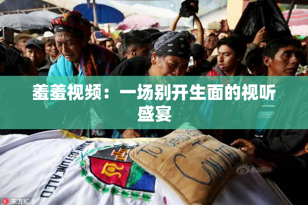 羞羞视频：一场别开生面的视听盛宴