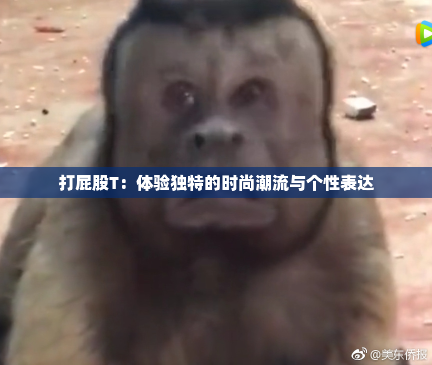 打屁股T：体验独特的时尚潮流与个性表达
