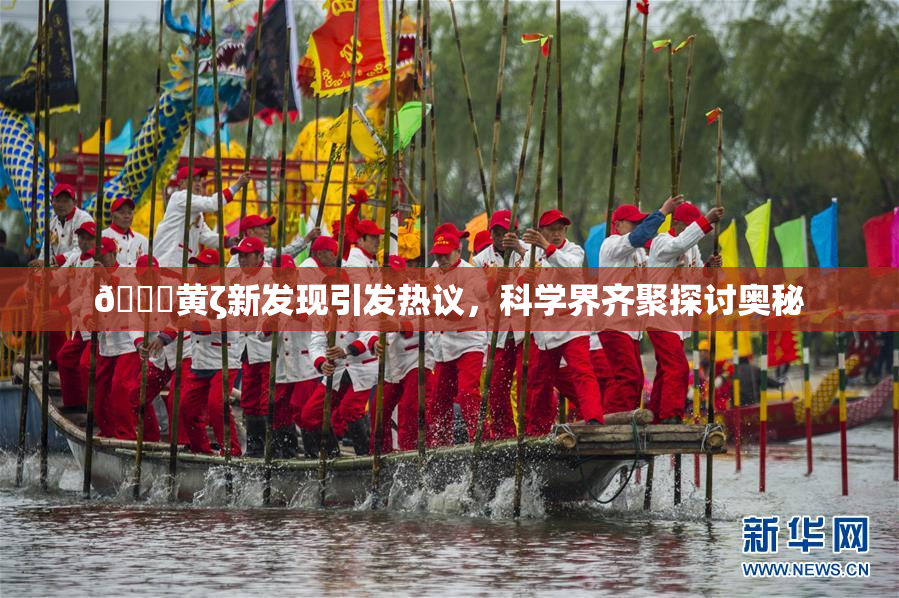 🔞黄ζ新发现引发热议，科学界齐聚探讨奥秘
