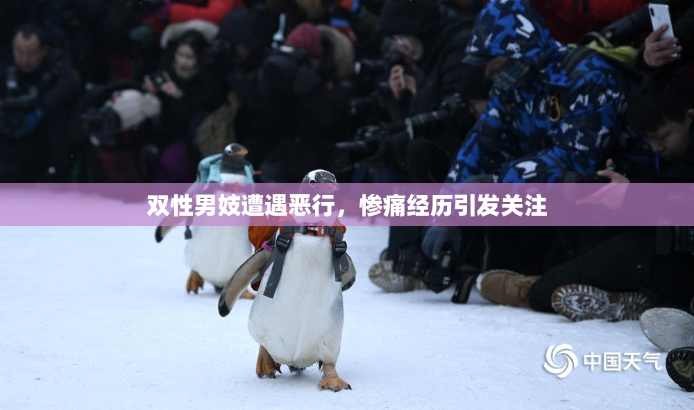 双性男妓遭遇恶行，惨痛经历引发关注