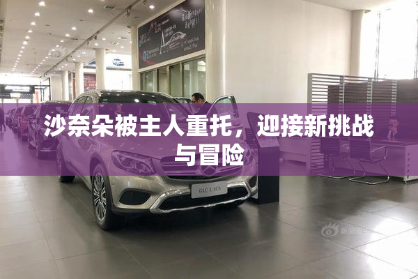 沙奈朵被主人重托，迎接新挑战与冒险