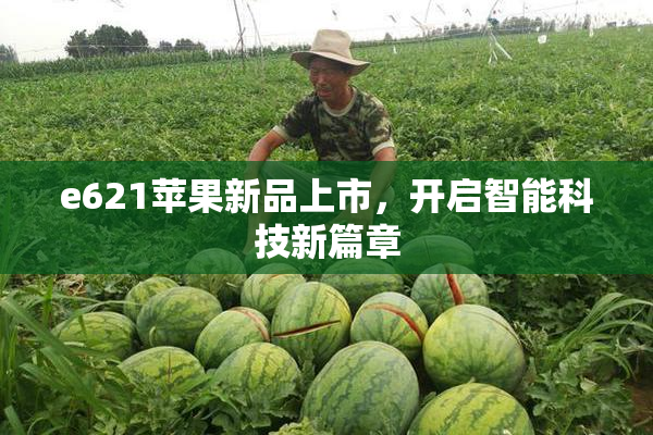 e621苹果新品上市，开启智能科技新篇章