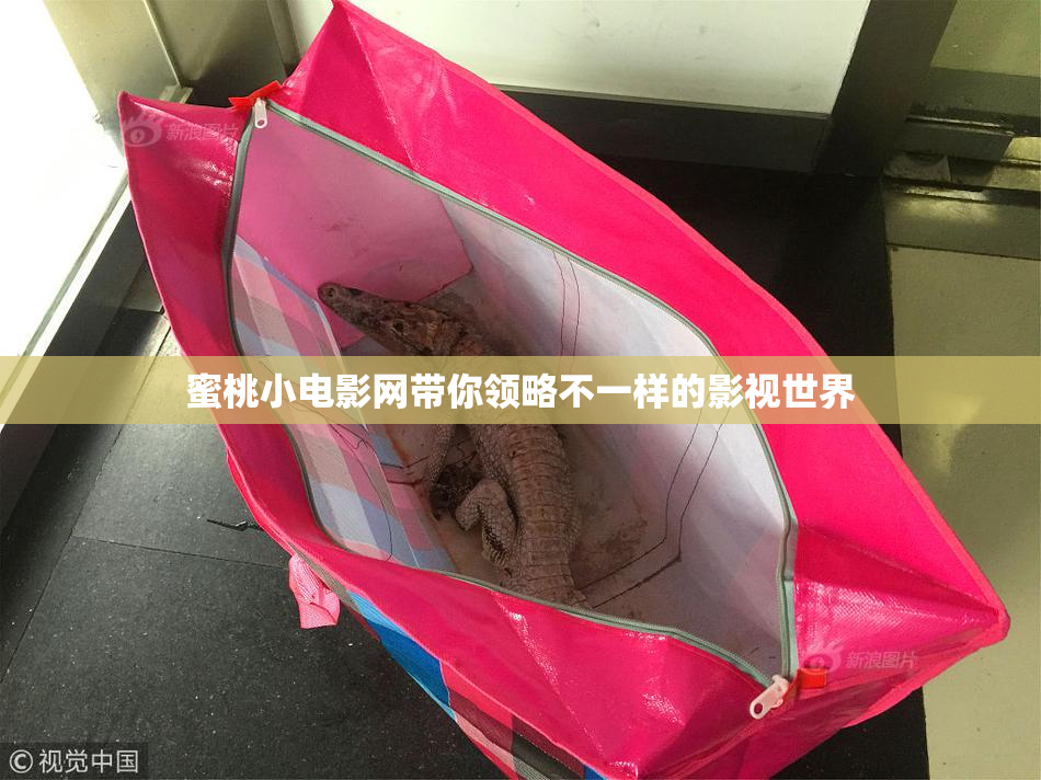 蜜桃小电影网带你领略不一样的影视世界