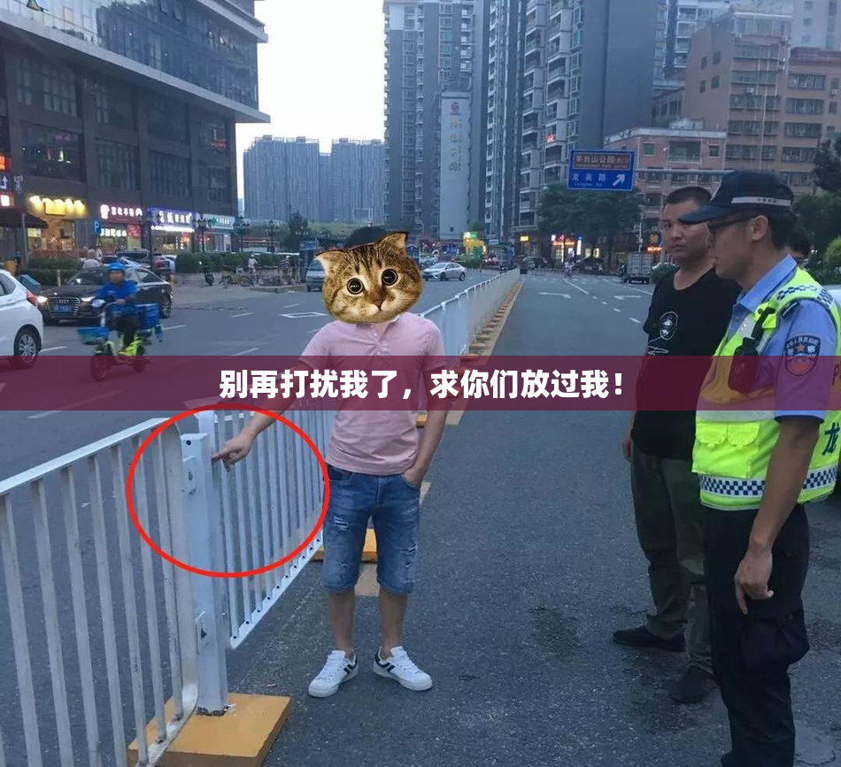 别再打扰我了，求你们放过我！