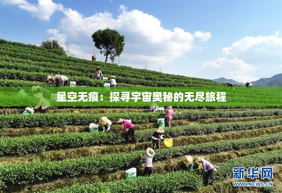 星空无痕：探寻宇宙奥秘的无尽旅程