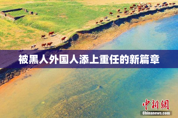被黑人外国人添上重任的新篇章