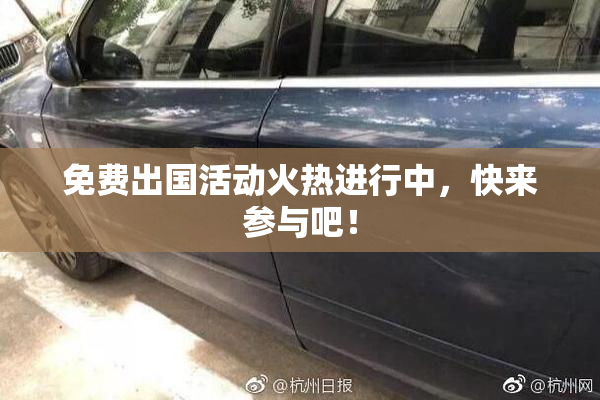 免费出国活动火热进行中，快来参与吧！