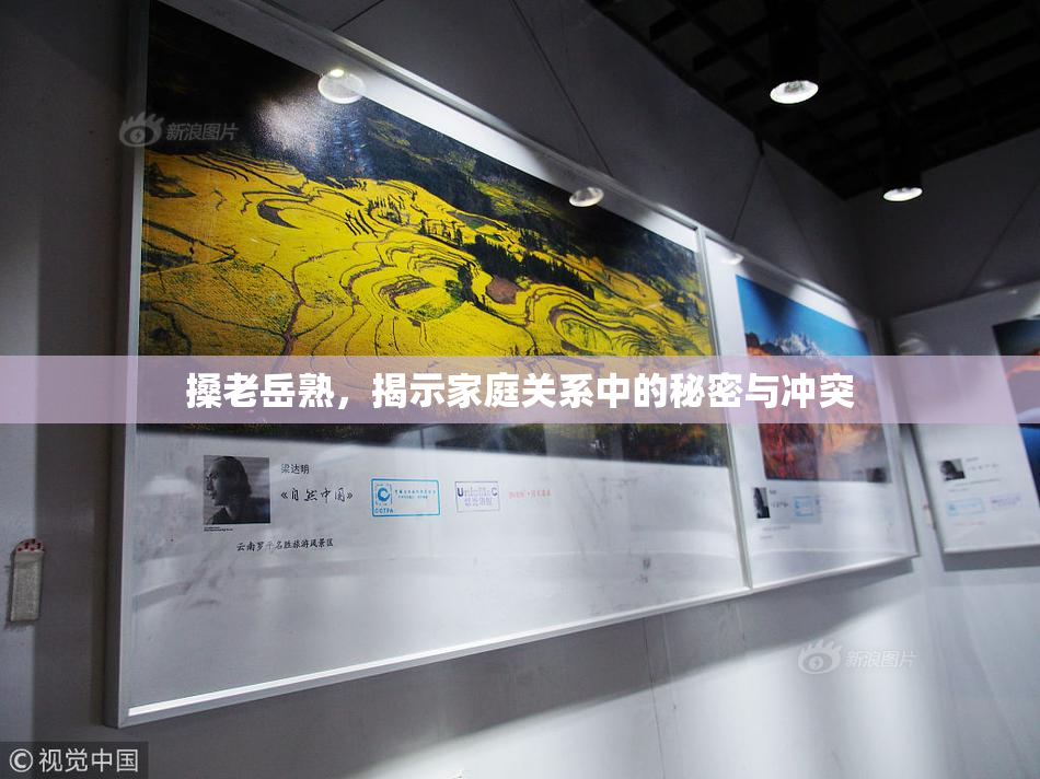 搡老岳熟，揭示家庭关系中的秘密与冲突