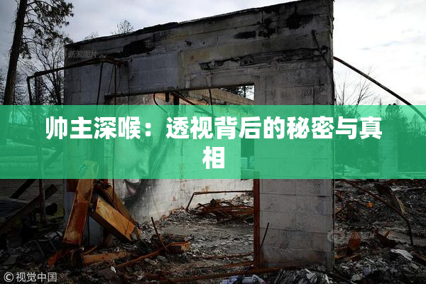 帅主深喉：透视背后的秘密与真相