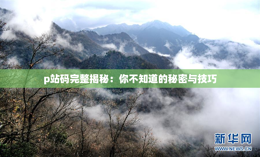 p站码完整揭秘：你不知道的秘密与技巧