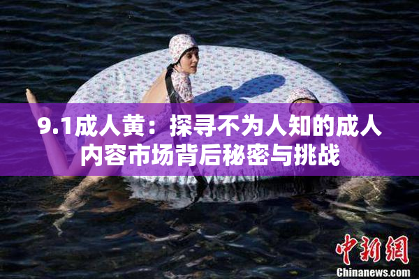 9.1成人黄：探寻不为人知的成人内容市场背后秘密与挑战