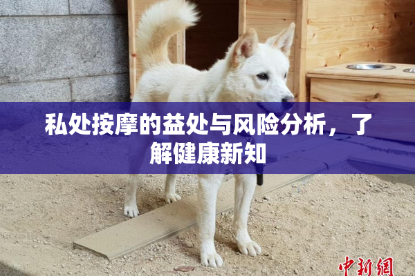 私处按摩的益处与风险分析，了解健康新知