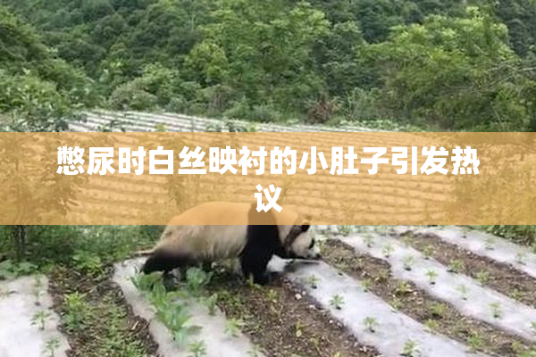 憋尿时白丝映衬的小肚子引发热议