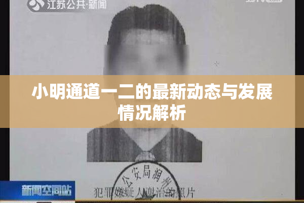 小明通道一二的最新动态与发展情况解析