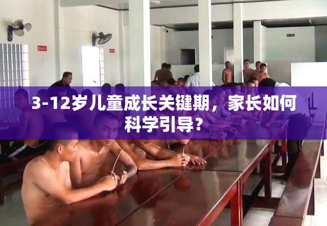 3-12岁儿童成长关键期，家长如何科学引导？
