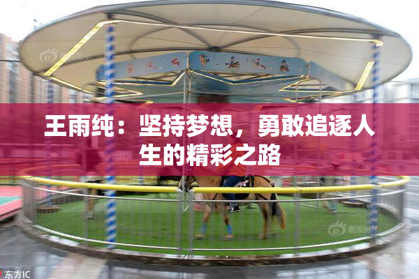 王雨纯：坚持梦想，勇敢追逐人生的精彩之路