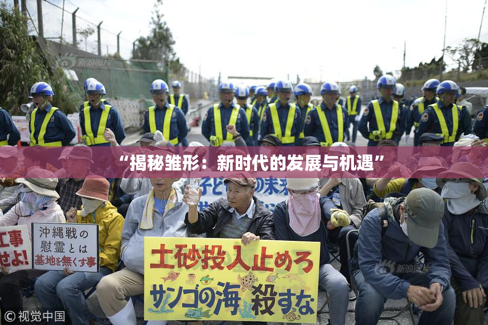 “揭秘雏形：新时代的发展与机遇”